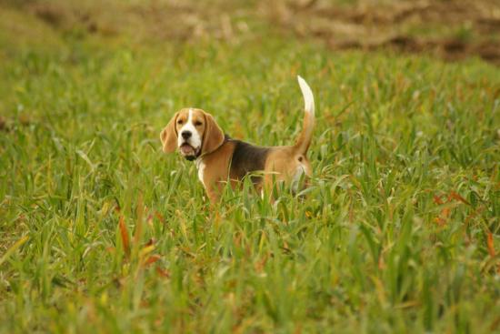 ballade-novembre-2011-069.jpg