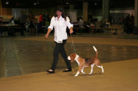 img-8387a.jpg