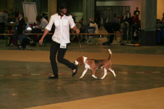 img-8388a.jpg