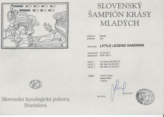 titre-champion-jeune-slovaquie-little.jpg