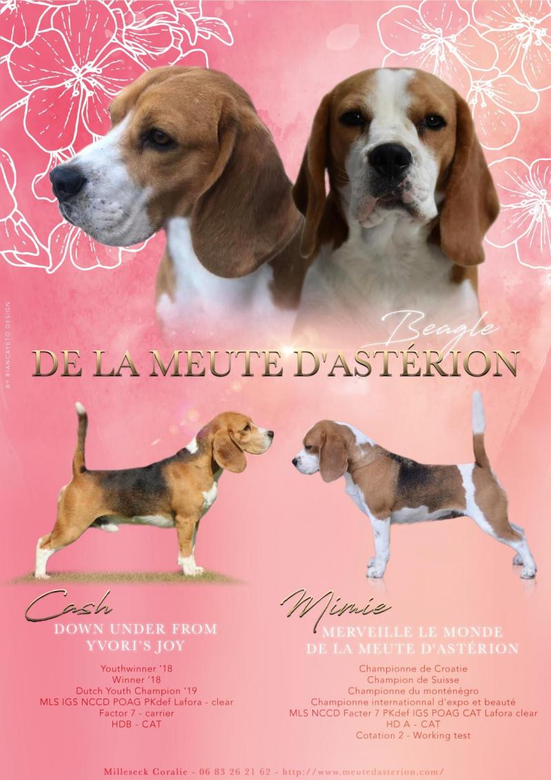 mimi et cash