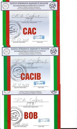 cac-cacaib-bob-bog-10-dec-2011-2.jpg