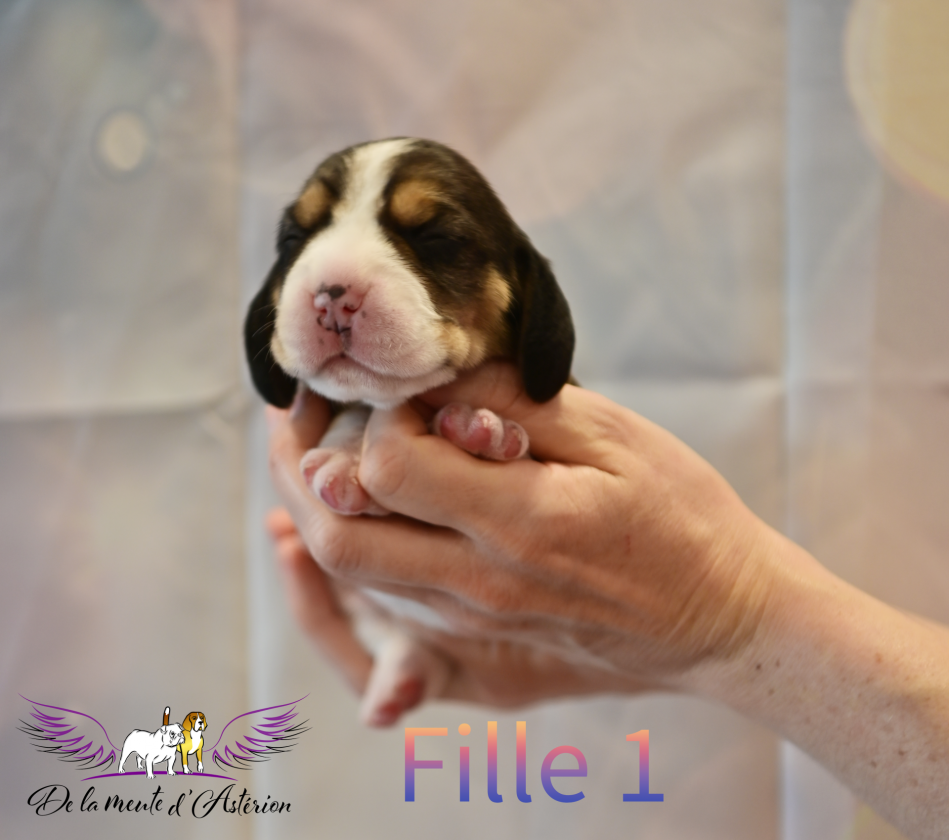 Fille 1