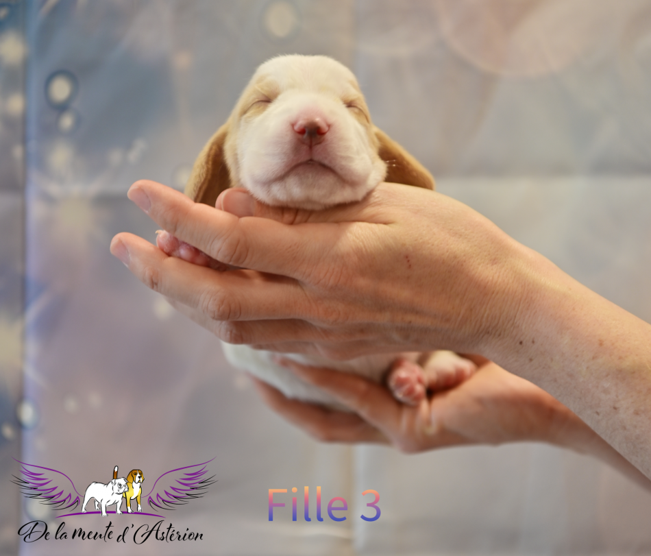 Fille 3